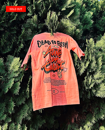 Alive in Christ T-Shirt (Orange).png